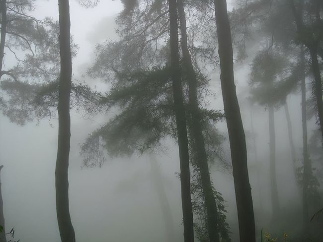 哀牢山探秘，自然之美与人文之韵