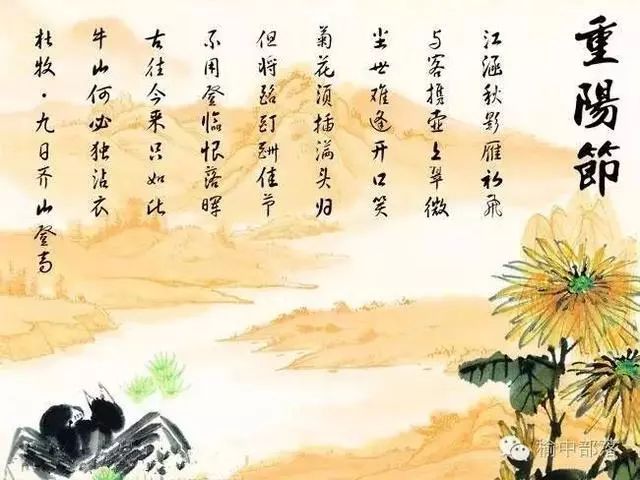 重阳节，传统与现代的交融庆祝