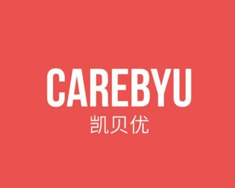 Care主题介绍