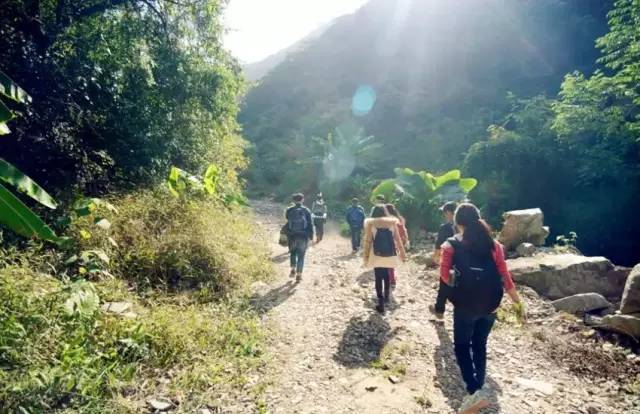 秋游登高持续火热，登山赏景成热门活动