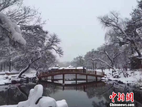 漠河积雪深度实地验证数据，最大积雪深度达19厘米，保暖措施需加强执行_实地报告