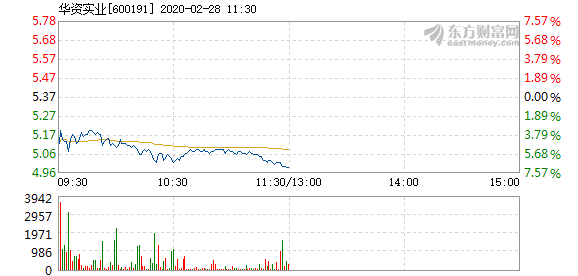 华资实业2017最新,一、公司概况