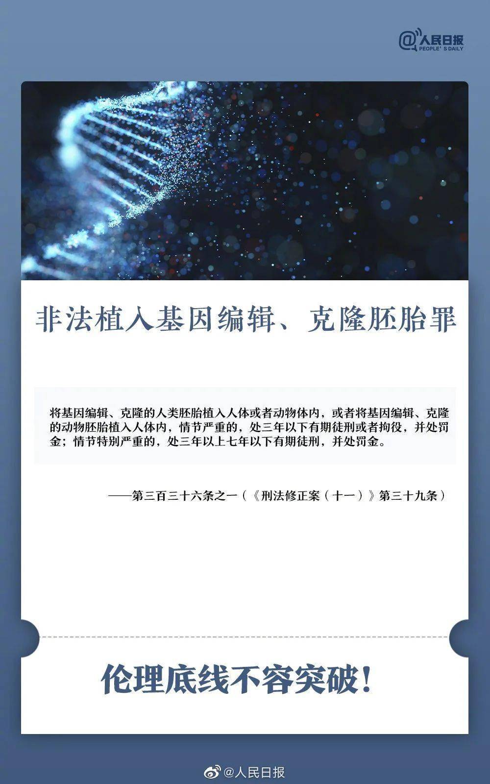 暗香更新内容概述，最新更新情报揭秘