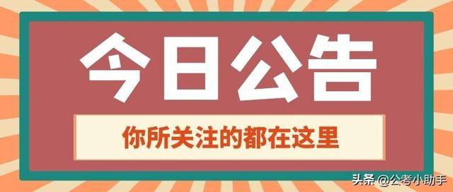 2017龙海石码最新招聘，职场机遇与挑战一览