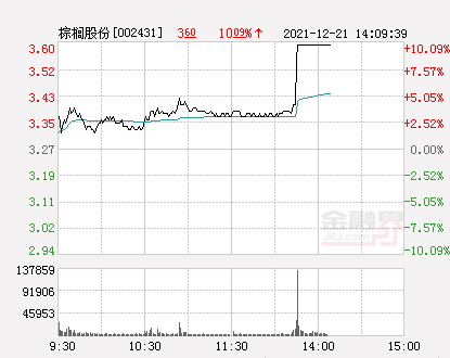 棕榈股份最新动态揭秘，股市风云下的温情日常