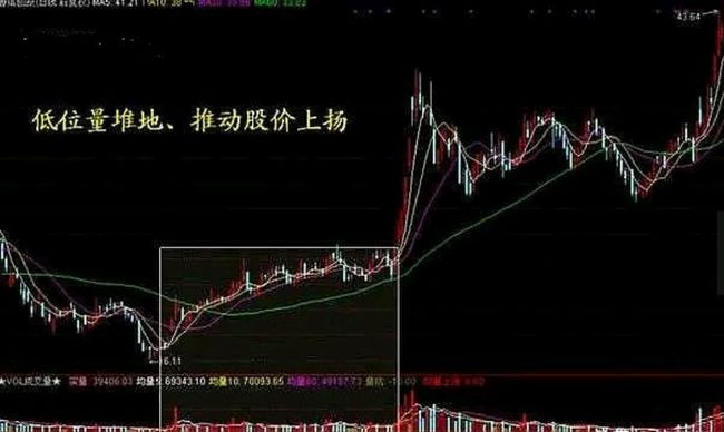 石狮招聘网最新招聘信息更新，招聘市场新动态与深度解析