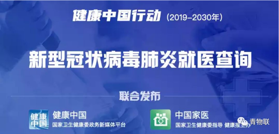 逆风翱翔，共克时艰，最新新冠疫情实时播报之旅