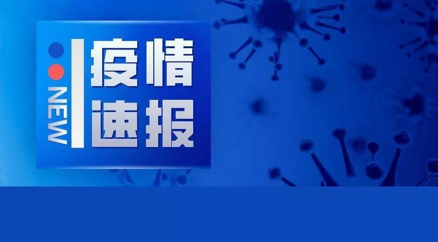 云南新增一例肺炎疫情，多维视角下的深度分析