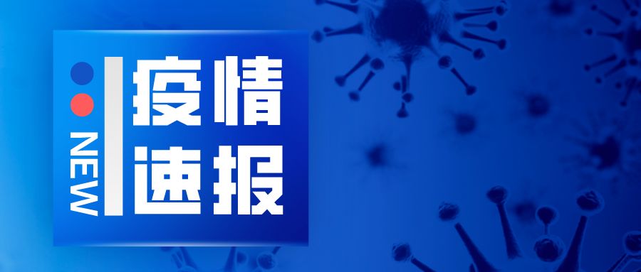 疫情下的彩虹桥，我与朋友的温馨抗疫故事及最新肺炎疫情更新