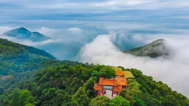 探秘龙煤秘境，最新消息引领心灵之旅的自然美景探索