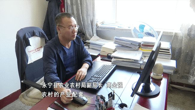 绥阳新闻聚焦，最新消息与动态更新（3月31日）