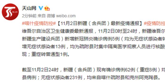 新疆疫情最新动态与隐秘小巷美食探秘，11月2日新增病例数揭秘