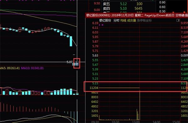 揭秘成长催化剂，揭秘最新停牌股票背后的故事，自信与成就感的源泉（11月3日）