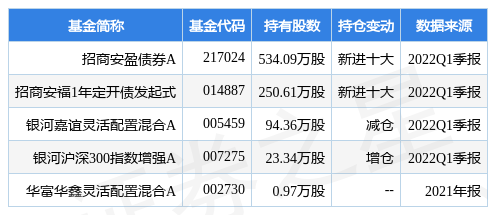 海南橡胶股吧最新消息全面解析，特性、体验、竞品对比与用户洞察