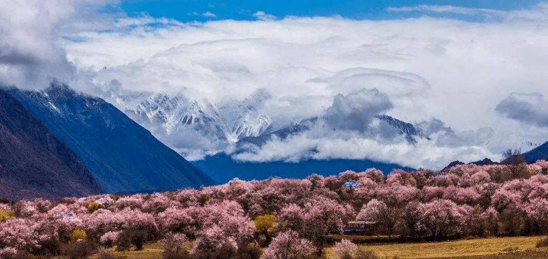 初夏五月风光，最新照片大放送，一窥11月4日美景