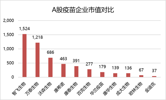 揭秘刚泰集团最新动态，11月5日发展新动向揭秘