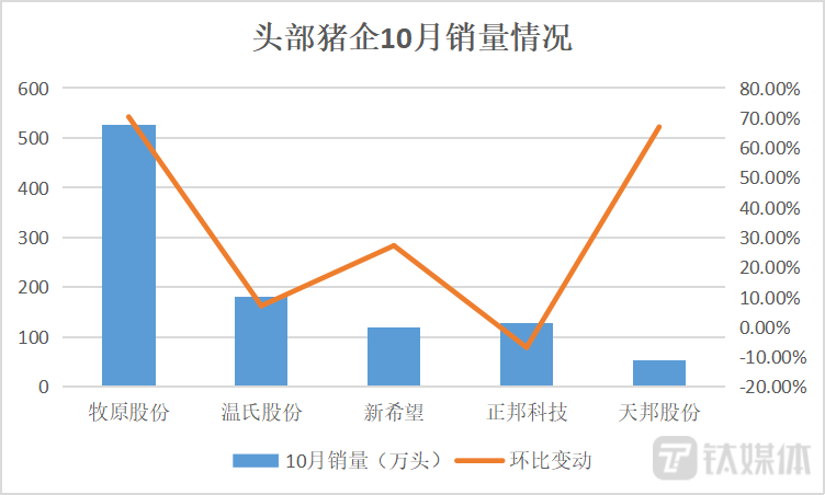 科技赋能智慧养猪新时代，最新猪价智能分析与前沿科技报道