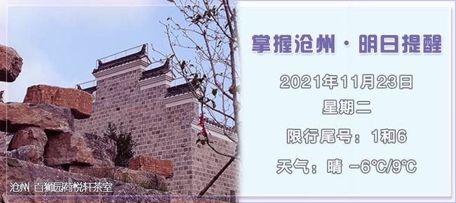 兵团疫情下的隐秘美食秘境探寻，11月5日最新疫情通报与小巷深处的独特风味