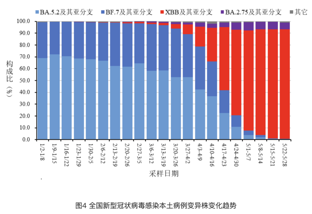 疫情下的探索之旅，最新感染数据与自然美景背后的宁静与力量