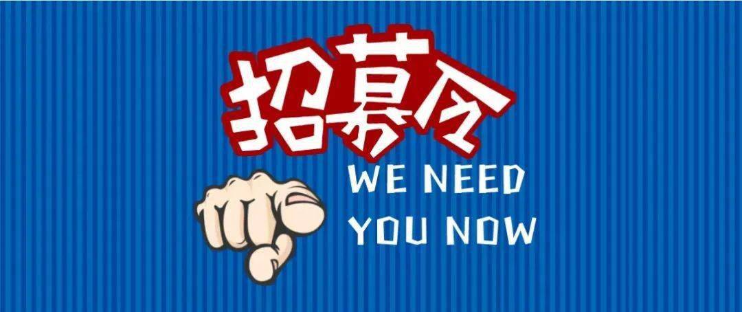 11月5日长清地区最新招聘信息概览——职场动态更新