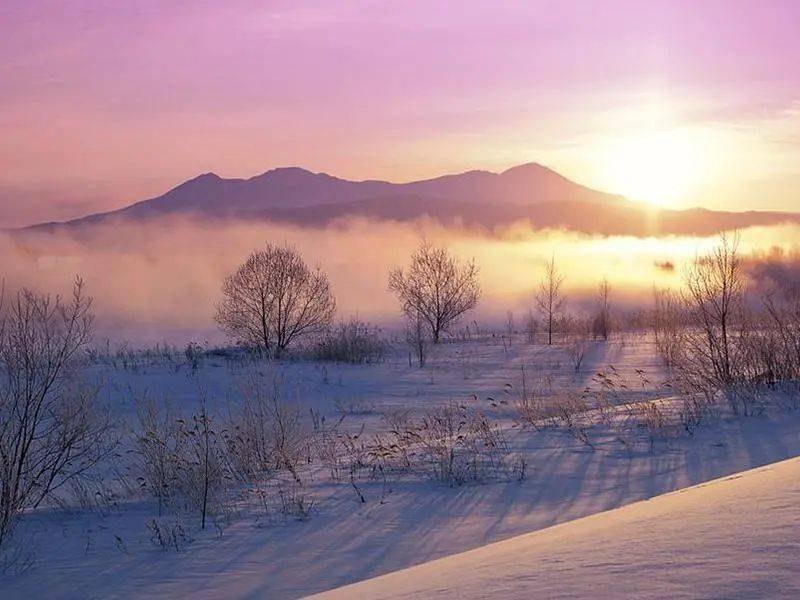 雪迪龙启程探寻自然美景温暖之旅，最新篇章揭晓，启程时间已定