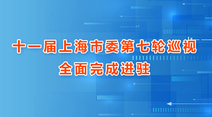 最新评测与介绍，傅席歌乔悠悠 11月7日全面更新解析