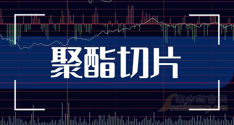 2024年11月8日聚酯切片价格行情深度解析与全面评测