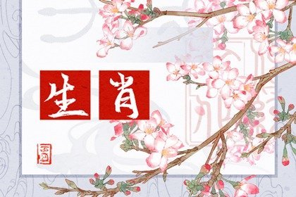 2024年11月生肖桃花运揭秘，爱的奇妙交响与温馨故事