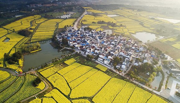 贵港新发现，自然美景之旅探寻内心宁静与平和（2024年11月8日最新新闻）