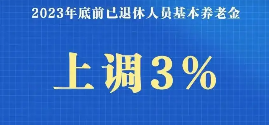 上海汇爱公司最新公告揭秘，友谊与爱在行动中的温馨故事（2024年11月8日）