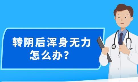 新澳精准资料免费提供,安全设计策略解析_时尚版TWE208.55