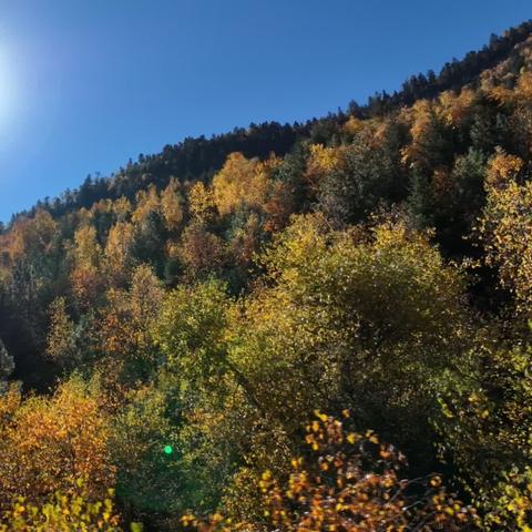 探寻自然秘境，与微光同行，最新班心灵之旅启程