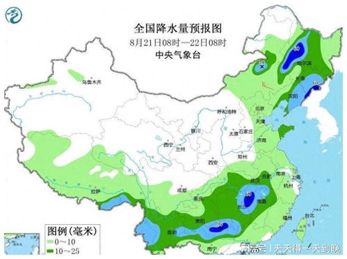 历史上的11月10日山东疫情回顾，疫情发展与影响分析