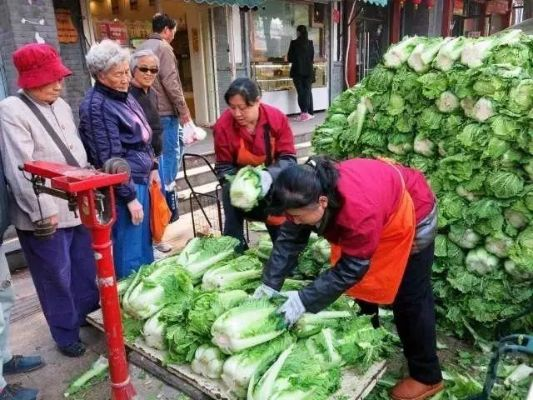 揭秘白菜宝藏，11月最新价格行情与风味独特的小巷白菜小店