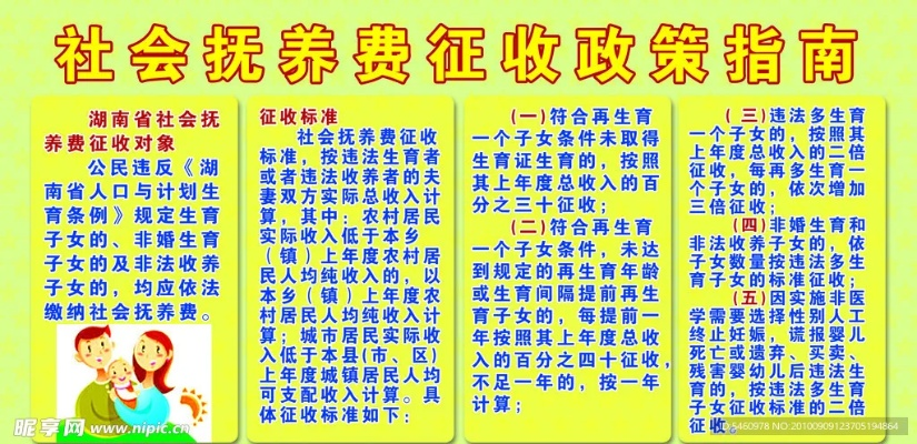 江西社会抚养费最新政策解读，2017年要点概览及最新政策概览