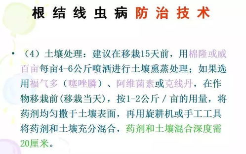 侧切手术图解，争议与理解的交织，最新侧切手术过程展示