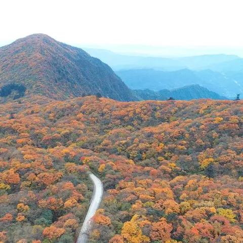 蜀山探秘之旅，秋日心灵平静之旅的启程点