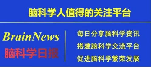 新澳姿料大全正版2024,纺织科学与工程_仙星ZKN956.93