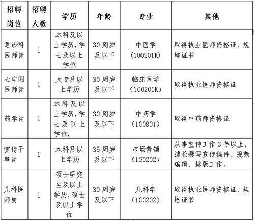 中医基础理论最新版，探寻中医智慧的光芒之旅