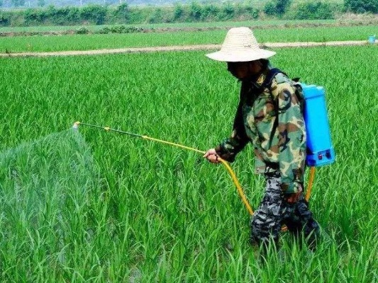 最新除草剂全面评测与介绍，11月14日除草剂更新