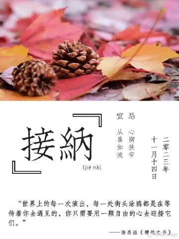 11月暖阳下的自心温馨日常