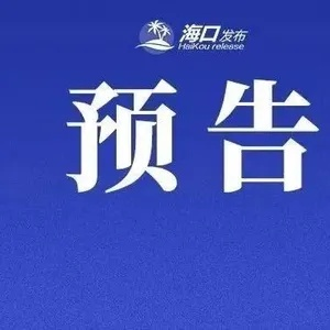 陵水新闻热点速递，最新消息与热点解读（2024年11月15日）