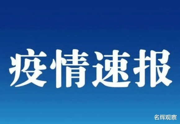 浙江十一月热点事件聚焦，最新事件概览