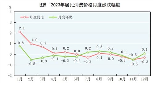 傅时价值增长背后的故事，最新净值与日常成长纪实（2024年11月16日）