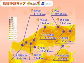 揭秘往年11月16日太和S253最新进展，深度解析背后的故事