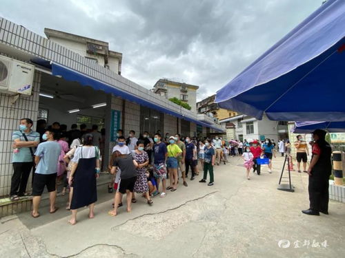 福州历年11月16日疫情动态分析，城市防控与应对策略