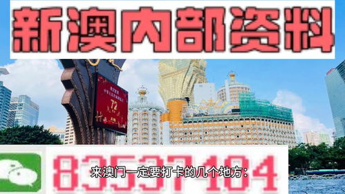 新澳门精准资料大全管家婆料,社会责任法案实施_JJQ27.450外观版