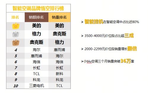 2024新澳门天天开奖,稳固计划实施_NBG27.967互联版