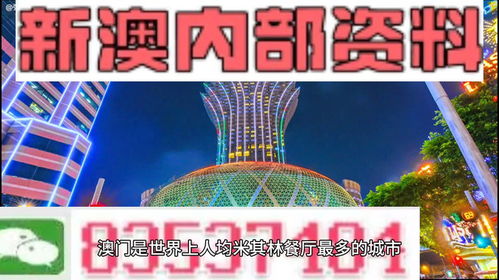 2024新澳门正版免费资料,2024澳门正版精准资料,新澳门免费资料大全精准版,202,专业解读方案实施_DSI27.871人工智能版