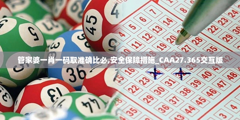 管家婆一肖一码取准确比必,安全保障措施_CAA27.365交互版